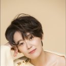 김보정 카카오 검색결과