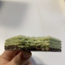 돌코롬 | 제주도여행 기념품추천 제주 돌코롬샌드 솔직후기 (우도땅콩 • 녹차)