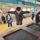 연세파워태권도 이미지