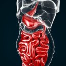 나무내과의원 이미지