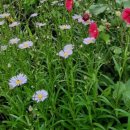 영훈 농장 이미지