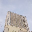 마리아 | 상봉마리아의원 / 나팔관조영술 후기