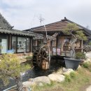 담양애꽃
