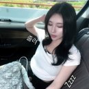 원대휴랜드 | [공지] [중국/상해] 상하이 디즈니랜드(Shanghai Disneyland) 후기- 주토피아 테마파크🐰🦊 (feat. 체감...