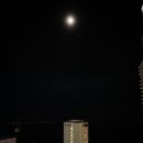 P-7305 | [나트랑] 2일 차 도보 여행: 킴빈 환전 / 피자 4P'S / 롯데마트 쇼핑