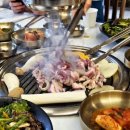 장지리 오리농장 이미지