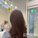 유앤헤어 이미지
