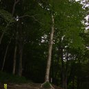 신흥사약수 이미지