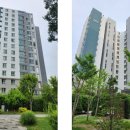 세곡-103 이미지