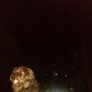 무지개다리 이미지