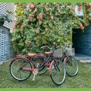 카사미아 이미지