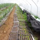 이가농장 이미지