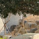 신평동1017 이미지