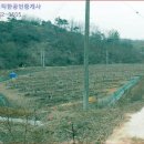 공검면 화동리 이미지