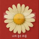 감성인테리어 - 보령시 성주산로 10 | 감성인테리어