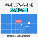 눈의꽃성형외과의원 네이버블로그