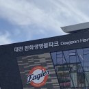 에코실외구장 야구장 | 대전 한화생명 이글스파크 야구장 스카이박스 주말 직관 후기