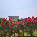 학사부동산정보공인중개사사무소 이미지