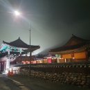 한골 | 점필재아라리 뮤지컬 공연 투어 후기
