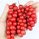 재천농장 이미지