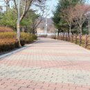 섬말공원2 이미지