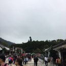 홍콩 옹핑360 케이블카 가는 방법,가격, 후기, 시티게이트 아울렛 후기