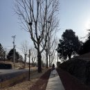 꿈꾸는어린이공원 공원화장실 | 용산어린이정원에서 뽀로로 기차 탄다고? 아이들이 푹 빠지는 ‘꿈꾸는 어린이정원역’ 다녀온 후기