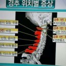빠딴잘리요가 네이버블로그