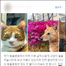 원당동물병원 이미지