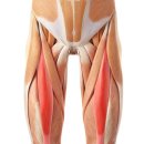 리파인짐PT 분당야탑점 이미지