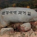 유림-8 이미지