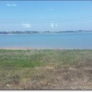 무안뻘낙지 이미지