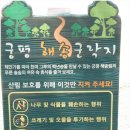궁평씨푸드 | 궁평항 백미리 희망캠핑장 1박2일, 서해 바다 오션뷰 캠핑 / 궁평항 해송군락지
