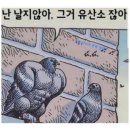 팀메이크짐 이미지
