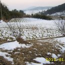 태광농장 이미지