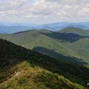 산하의물결 이미지