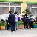 부안중학교 이미지