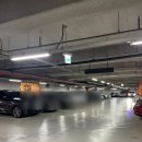 판교역로192번길 | 메리어트 서울 판교 모모카페 주말 런치 솔직 후기 메리어트 뷔페 중에서도 재방문 의사 있는 이유