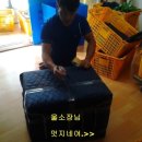 예진이사익스프레스 이미지