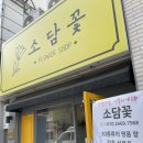 소담꽃 이미지
