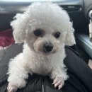 카페봄봄천곡점