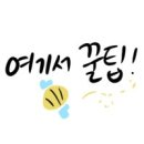 선 동물병원 이미지