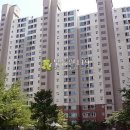 정자천로133번길 Daum카페