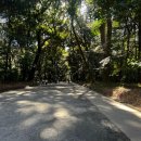 11650-17-151-6 | 아이랑도쿄여행 6일차 메이지신궁 입장료 관람 시간 동선 역사 테미즈샤