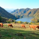 접지농장 이미지