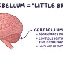 운동공간 정원 이미지