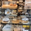 마킹커피(Marking Coffee) | 동탄 신리천 애견 동반 카페 샌드위치 맛집 온무드커피
