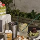 신도길 | 삼송 스타필드 근처 디저트 카페 하이쓰리파인즈 재방문