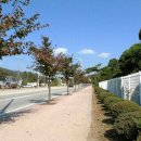 공설묘지 2 이미지