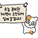 다우하우스1 이미지